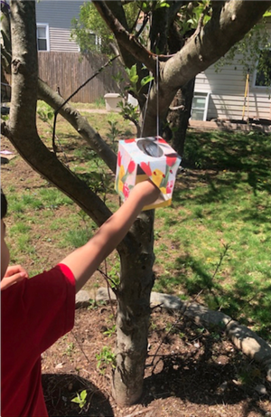 Bird House made from a Tissue Box 